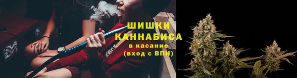 индика Баксан