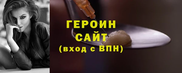 индика Арсеньев