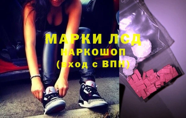 индика Арсеньев