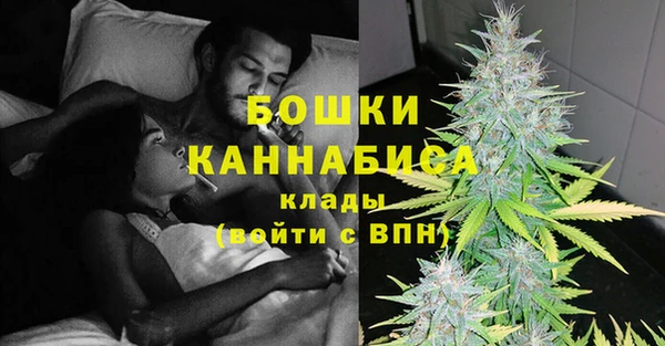 индика Арсеньев