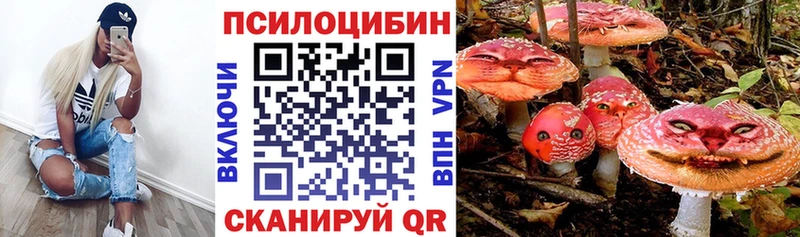 Псилоцибиновые грибы GOLDEN TEACHER  хочу наркоту  гидра маркетплейс  Гаврилов-Ям 