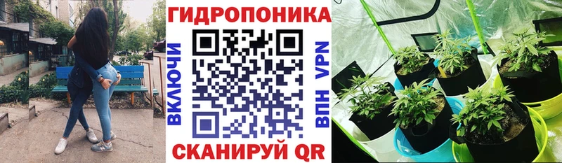 дарнет шоп  Гаврилов-Ям  Конопля AK-47 